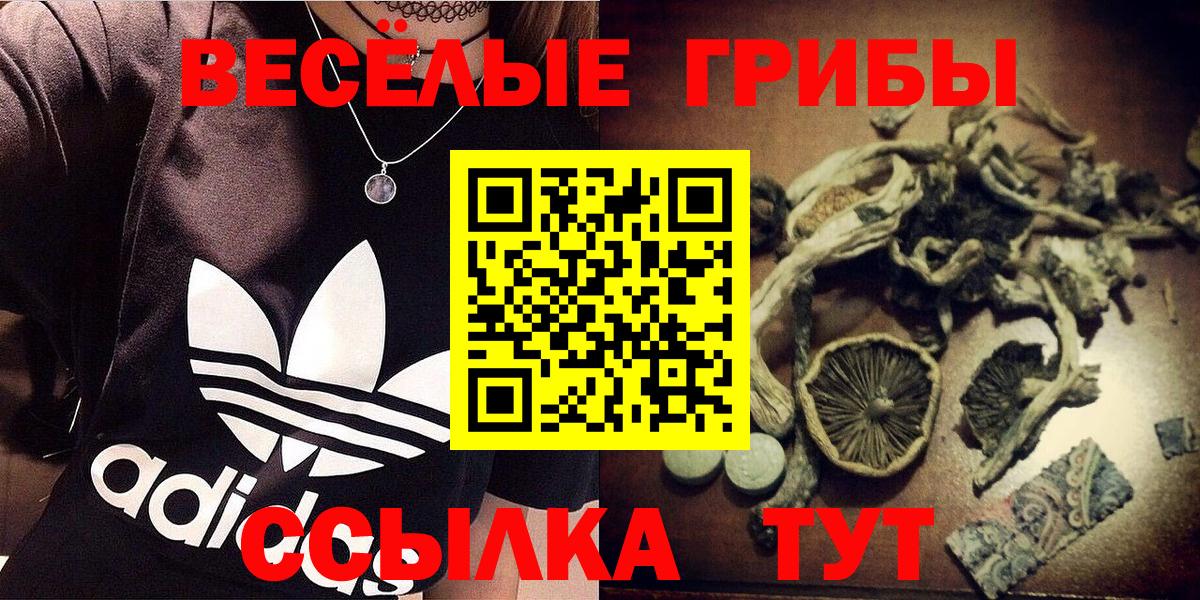 Галлюциногенные грибы Magic Shrooms  Псилоцибиновые грибы GOLDEN TEACHER  Вход с VPN  Сарапул 