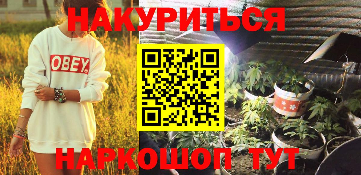 Канабис Bruce Banner  Вход с VPN  Шишки марихуана планчик  Шишки марихуана Amnesia  Сарапул  Каннабис LSD WEED 